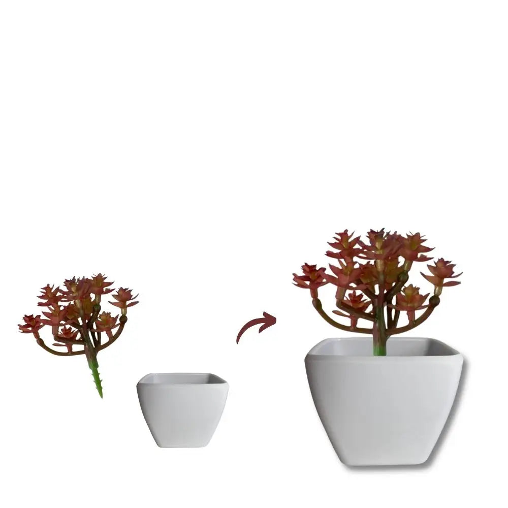 5 Cachepot de Suculenta Decorativa Mini Vot sem Plantas e Flores