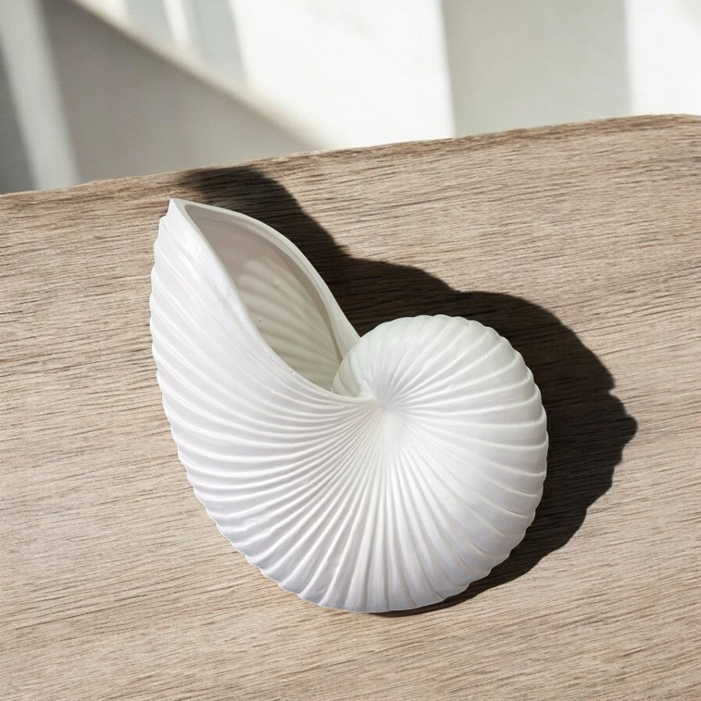 Vaso Cerâmica Concha do Mar – Decoração Costeira | Alma & Casa