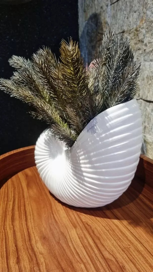 Vaso Cerâmica Concha do Mar – Decoração Costeira | Alma & Casa