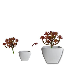 5 Cachepot de Suculenta Decorativa Mini Vot sem Plantas e Flores