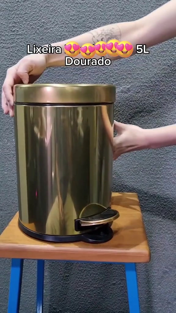 Kit Lavabo Inox Lixeira 5l E Escova Sanitária Dourado Dualii